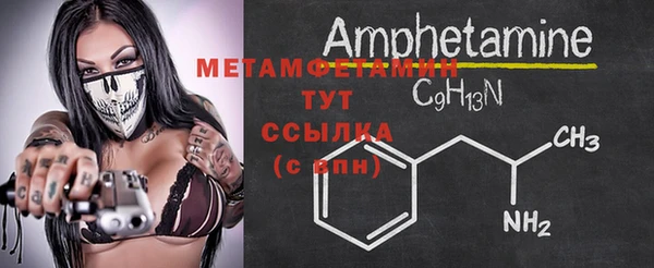 индика Ладушкин