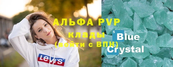 индика Ладушкин