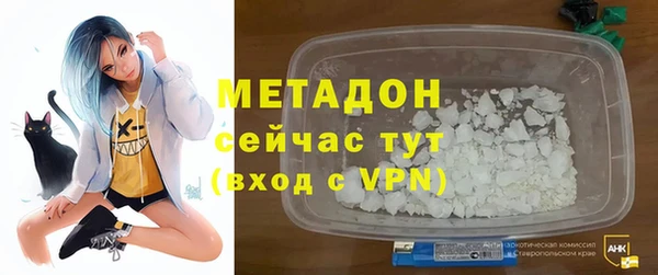 индика Ладушкин