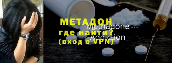 индика Ладушкин