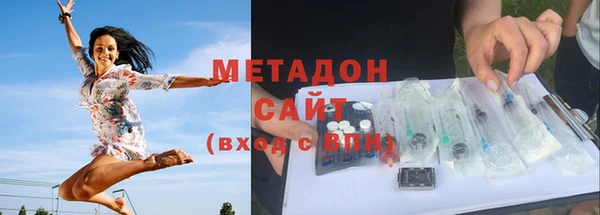 индика Ладушкин