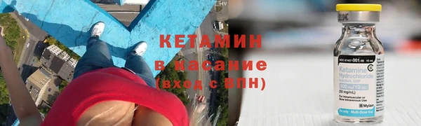 индика Ладушкин
