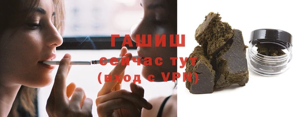 индика Ладушкин