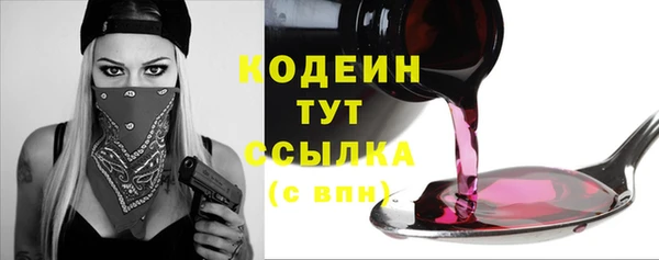 индика Ладушкин