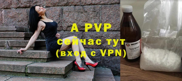 индика Ладушкин