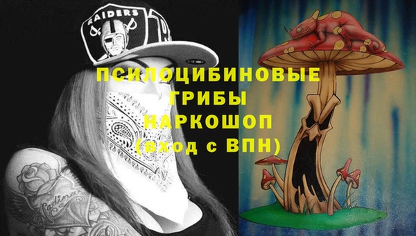 крисы Лабытнанги