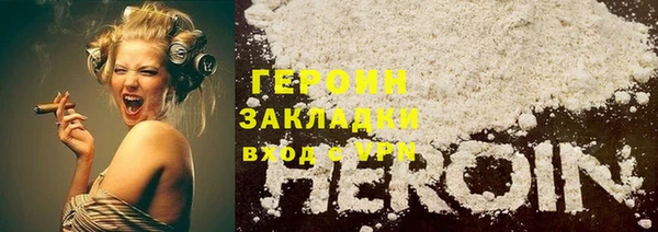 индика Ладушкин