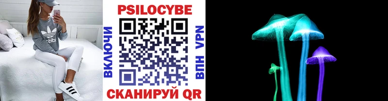 Псилоцибиновые грибы Cubensis  Купить закладки  Биробиджан 